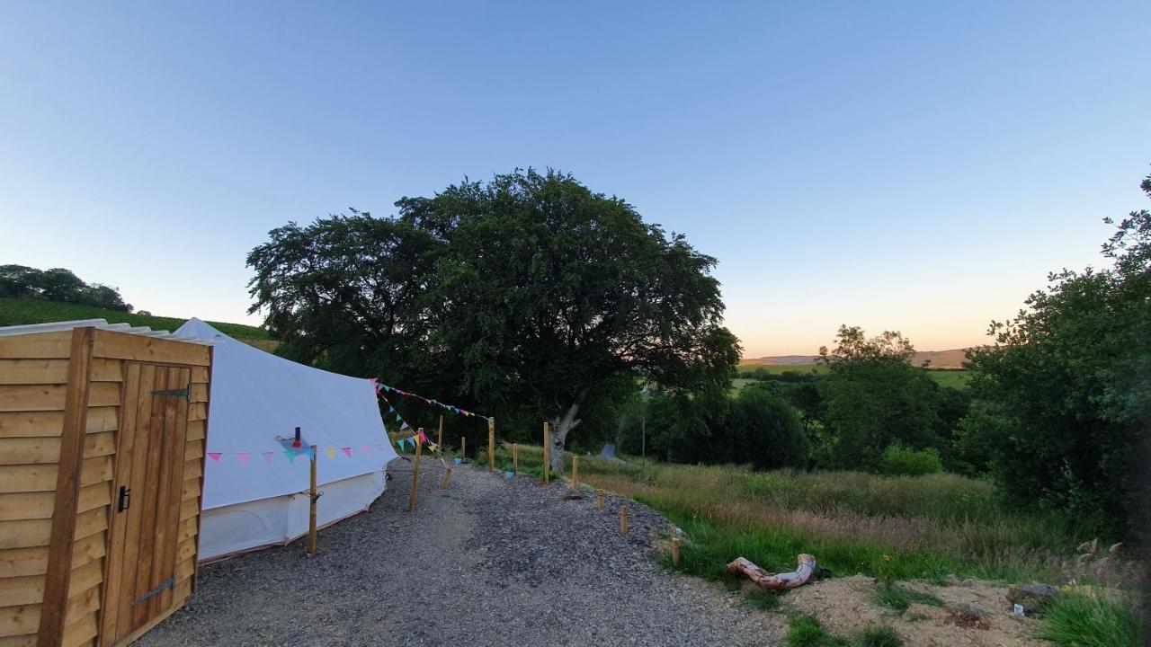Calon Y Goedwig Glamping Hotel Llandovery Exterior photo