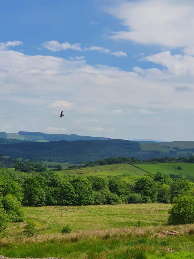 Calon Y Goedwig Glamping Hotel Llandovery Exterior photo