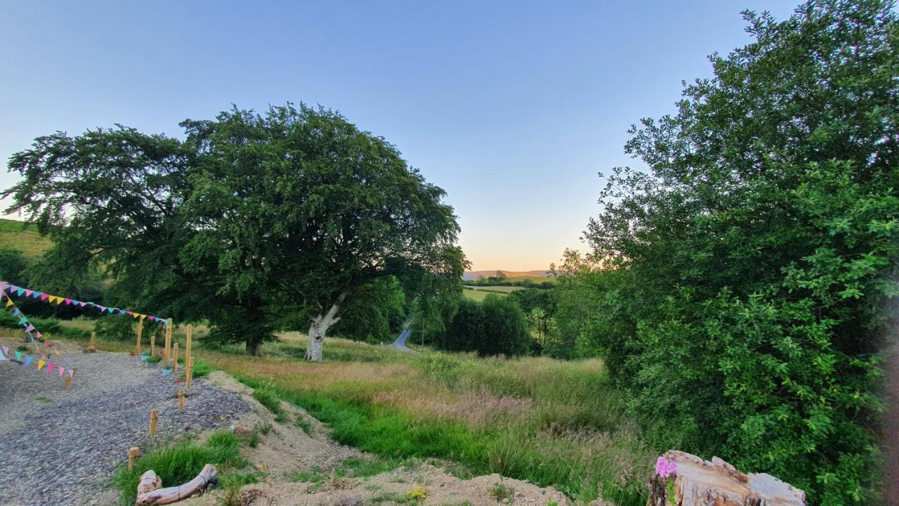 Calon Y Goedwig Glamping Hotel Llandovery Exterior photo