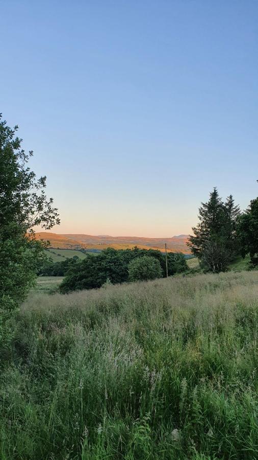 Calon Y Goedwig Glamping Hotel Llandovery Exterior photo