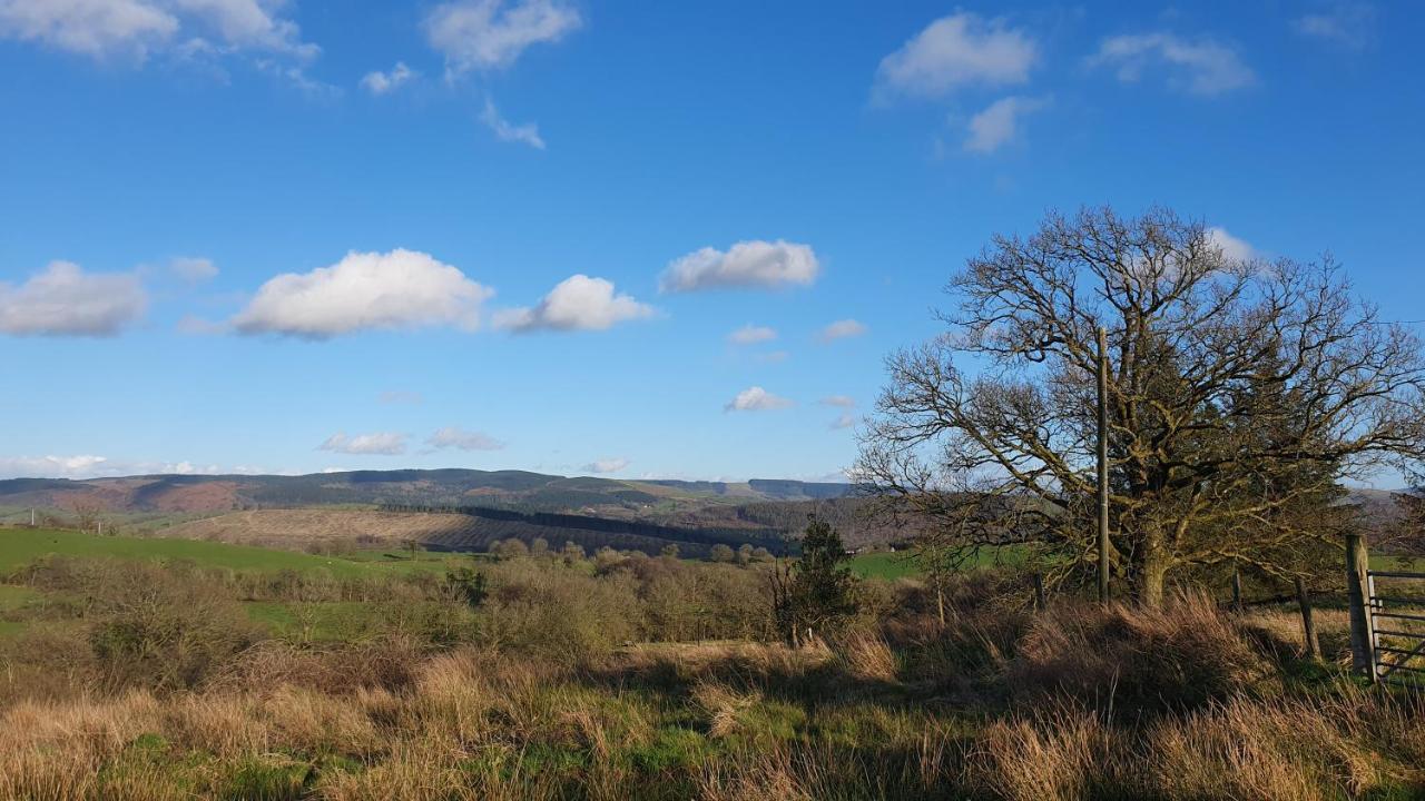 Calon Y Goedwig Glamping Hotel Llandovery Exterior photo