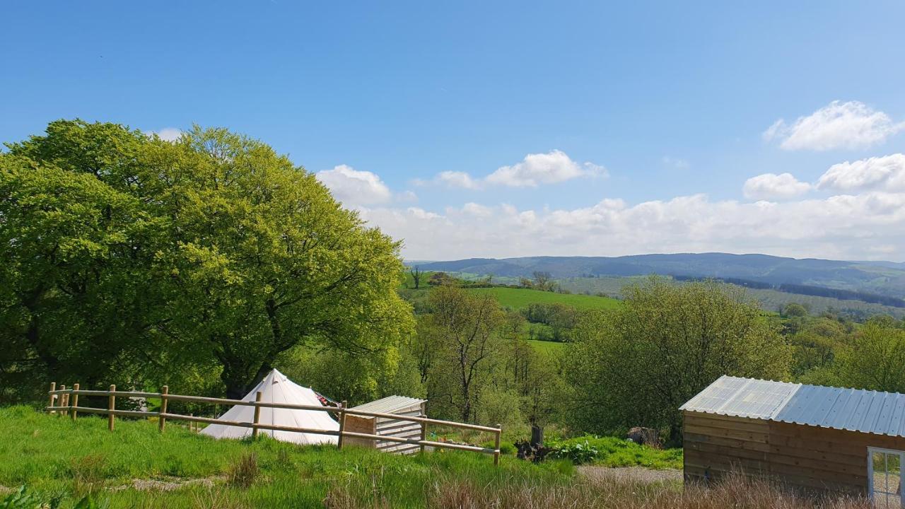 Calon Y Goedwig Glamping Hotel Llandovery Exterior photo