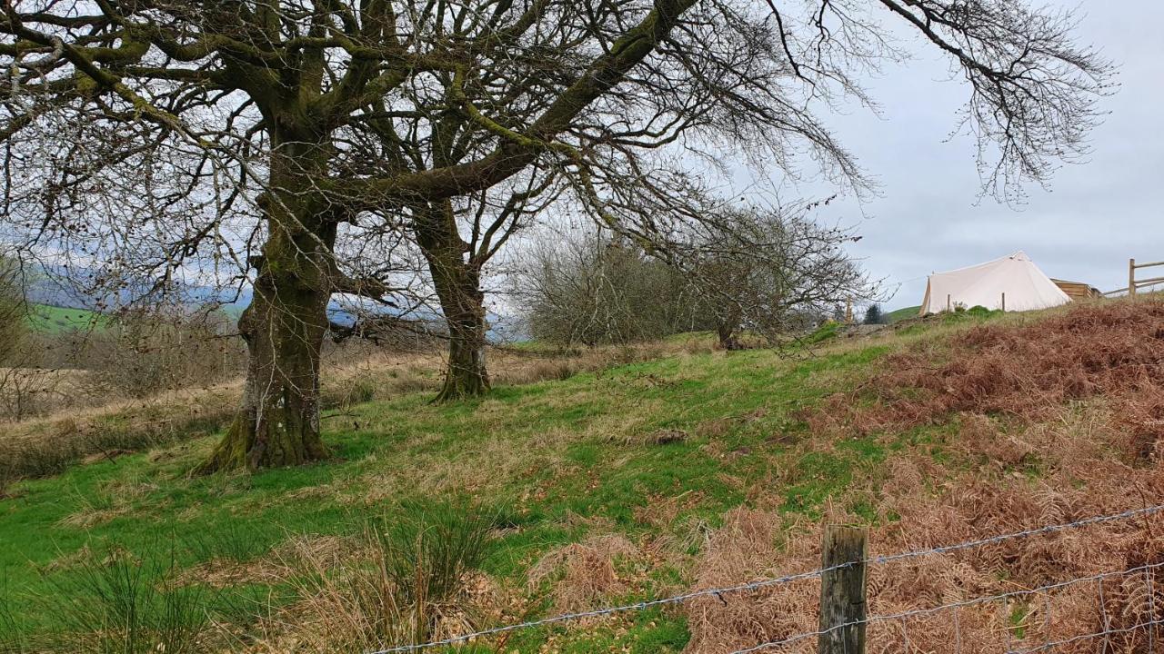 Calon Y Goedwig Glamping Hotel Llandovery Exterior photo