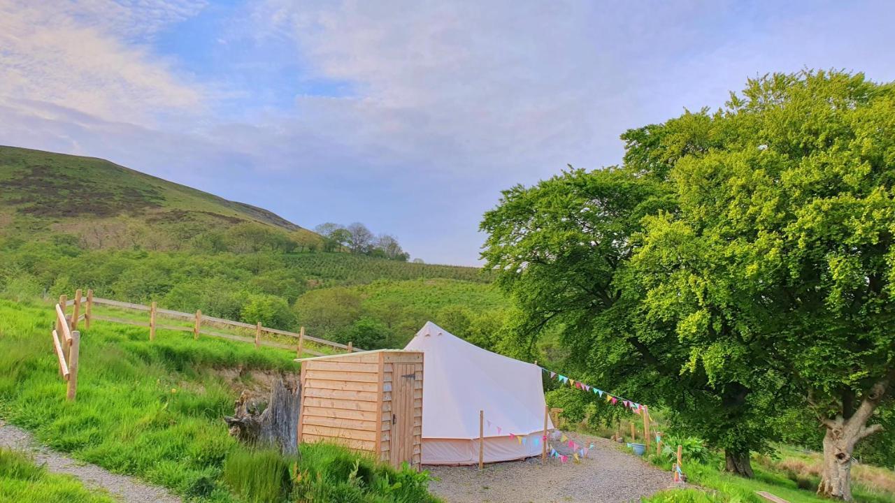 Calon Y Goedwig Glamping Hotel Llandovery Exterior photo
