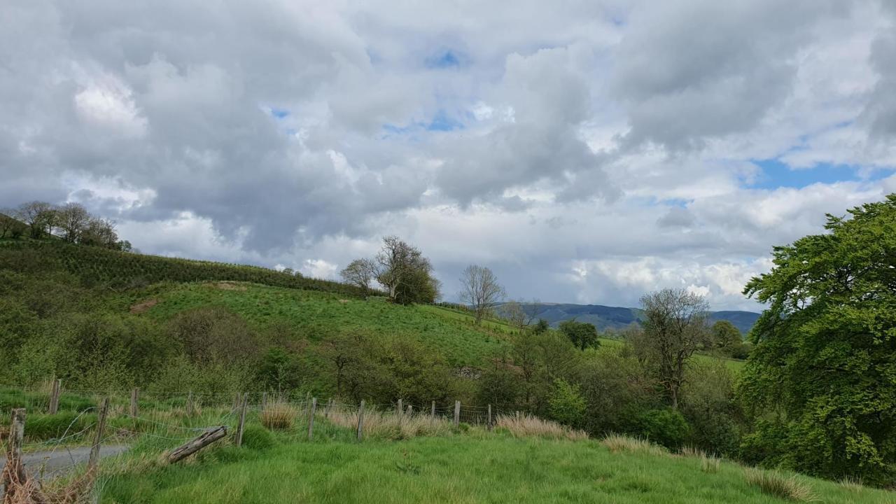 Calon Y Goedwig Glamping Hotel Llandovery Exterior photo