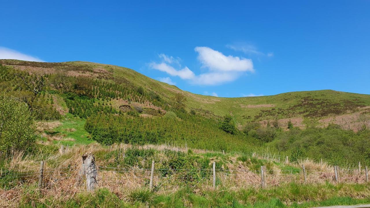 Calon Y Goedwig Glamping Hotel Llandovery Exterior photo