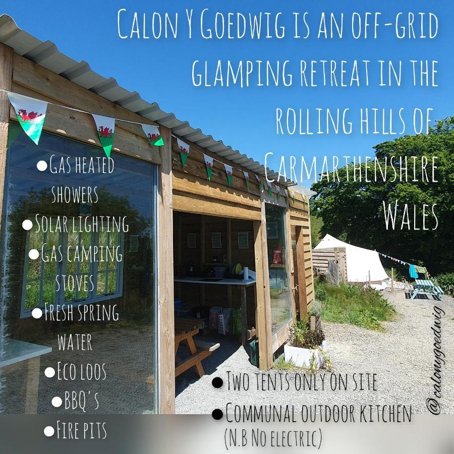 Calon Y Goedwig Glamping Hotel Llandovery Exterior photo