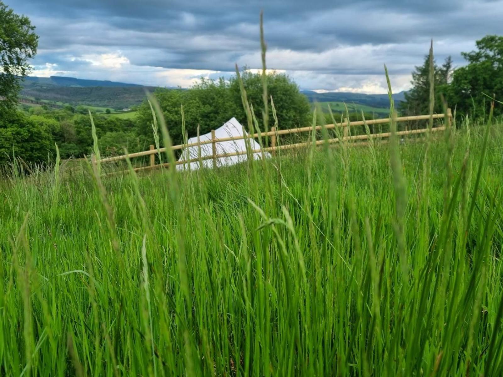 Calon Y Goedwig Glamping Hotel Llandovery Exterior photo